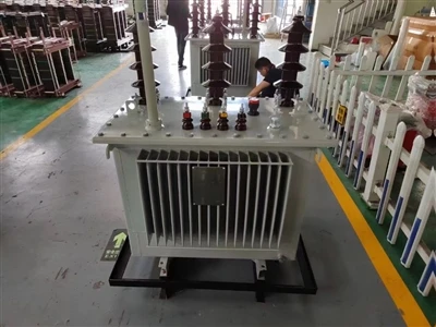 Cliente africano visita la fábrica de transformadores Henan Fengyuan
